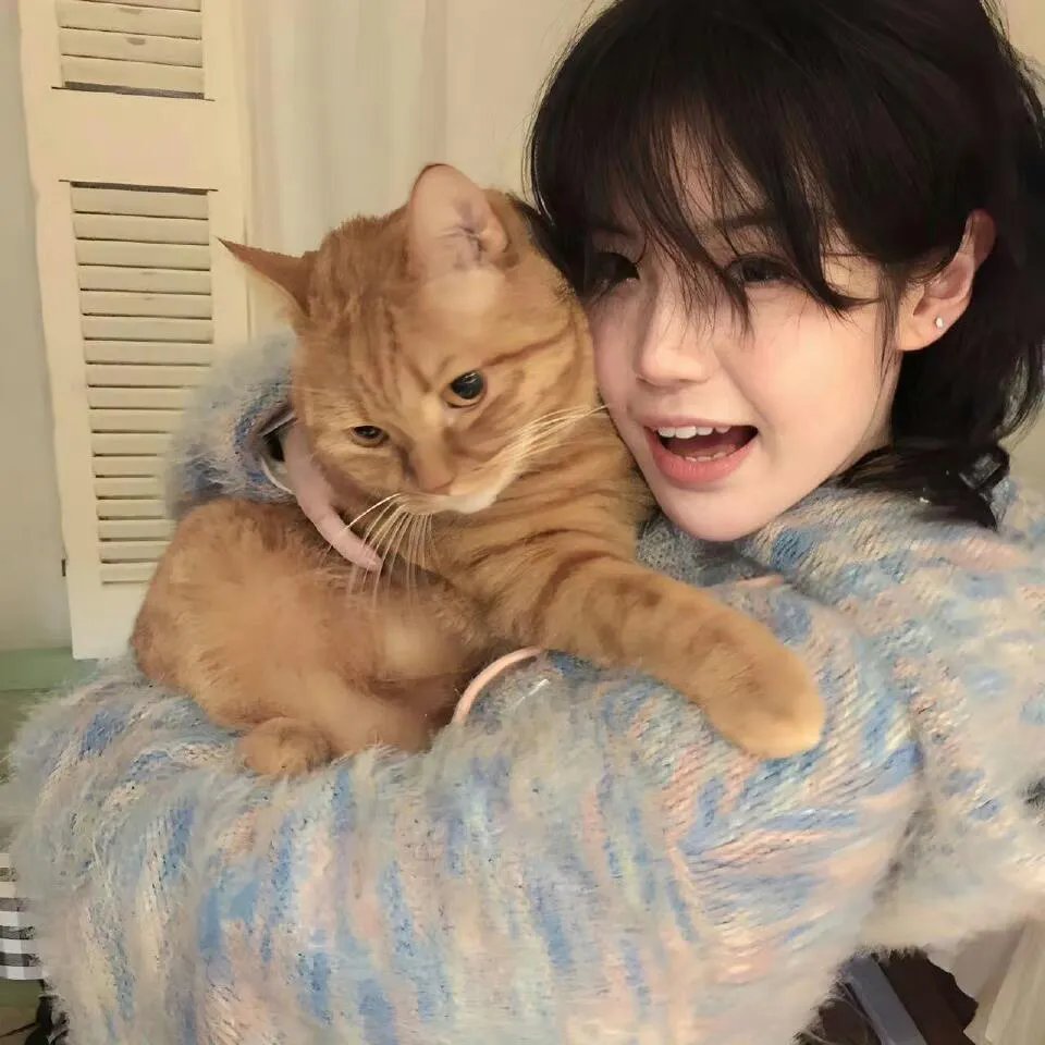 芝加哥急救第十一季